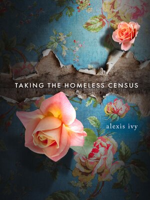 cover image of Taking the Homeless Census